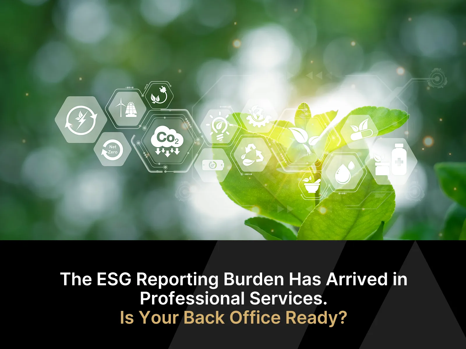 The ESG Reporting Burden Has Arrived in Professional Services. Is Your Back Office Ready?